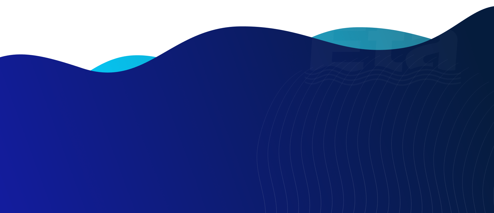 background section